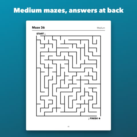 Large Print Mazes for Adults and Seniors, preview 3