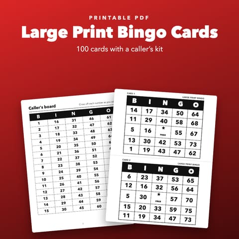 Large Print Bingo Printable for Seniors, cover