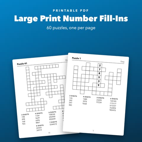 Large Print Number Fill-Ins Printable for Seniors, cover