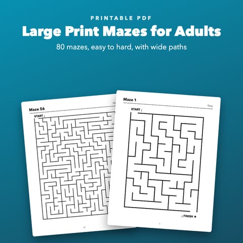 Large Print Mazes for Adults and Seniors, cover