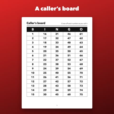 Large Print Bingo Printable for Seniors, preview 2
