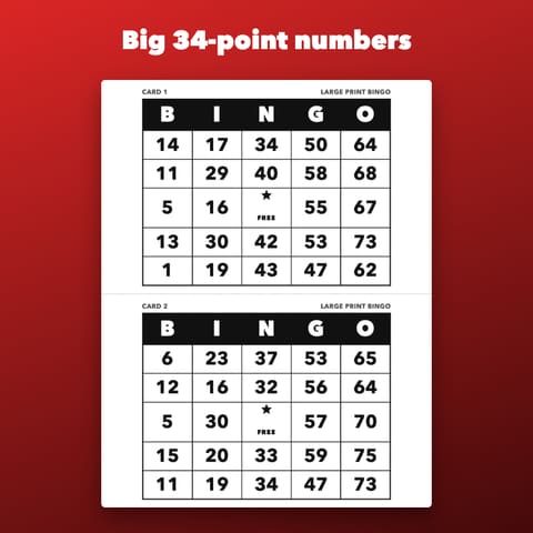 Large Print Bingo Printable for Seniors, preview 1