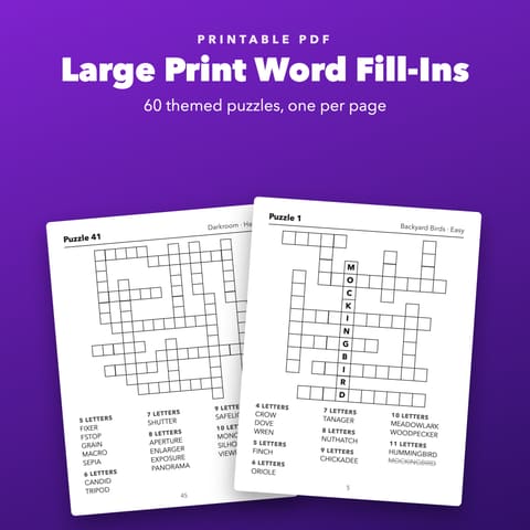 Large Print Word Fill-Ins Printable for Seniors, cover