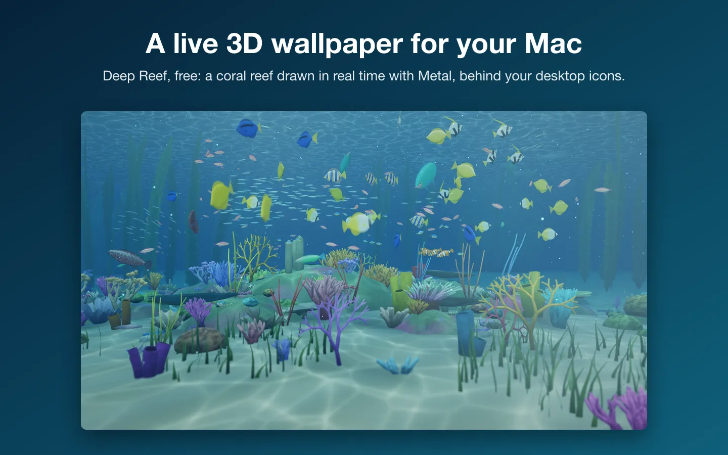 Deep Reef, the free scene: a coral reef with schools of tropical fish and sunlight rippling on the sand
