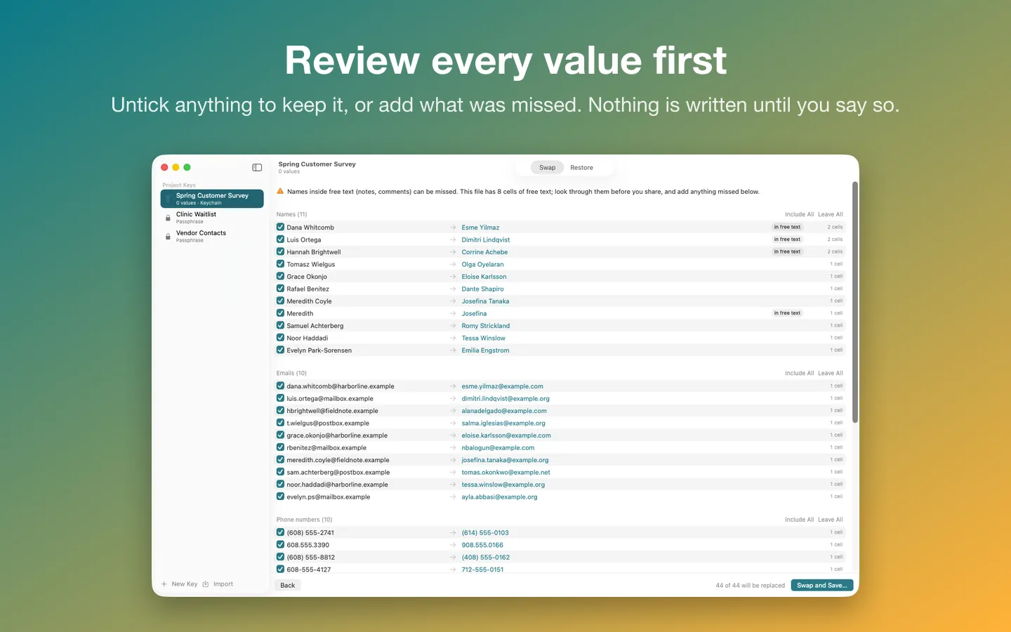 The review list: every value found and the stand-in it will get, with checkboxes to keep any of them
