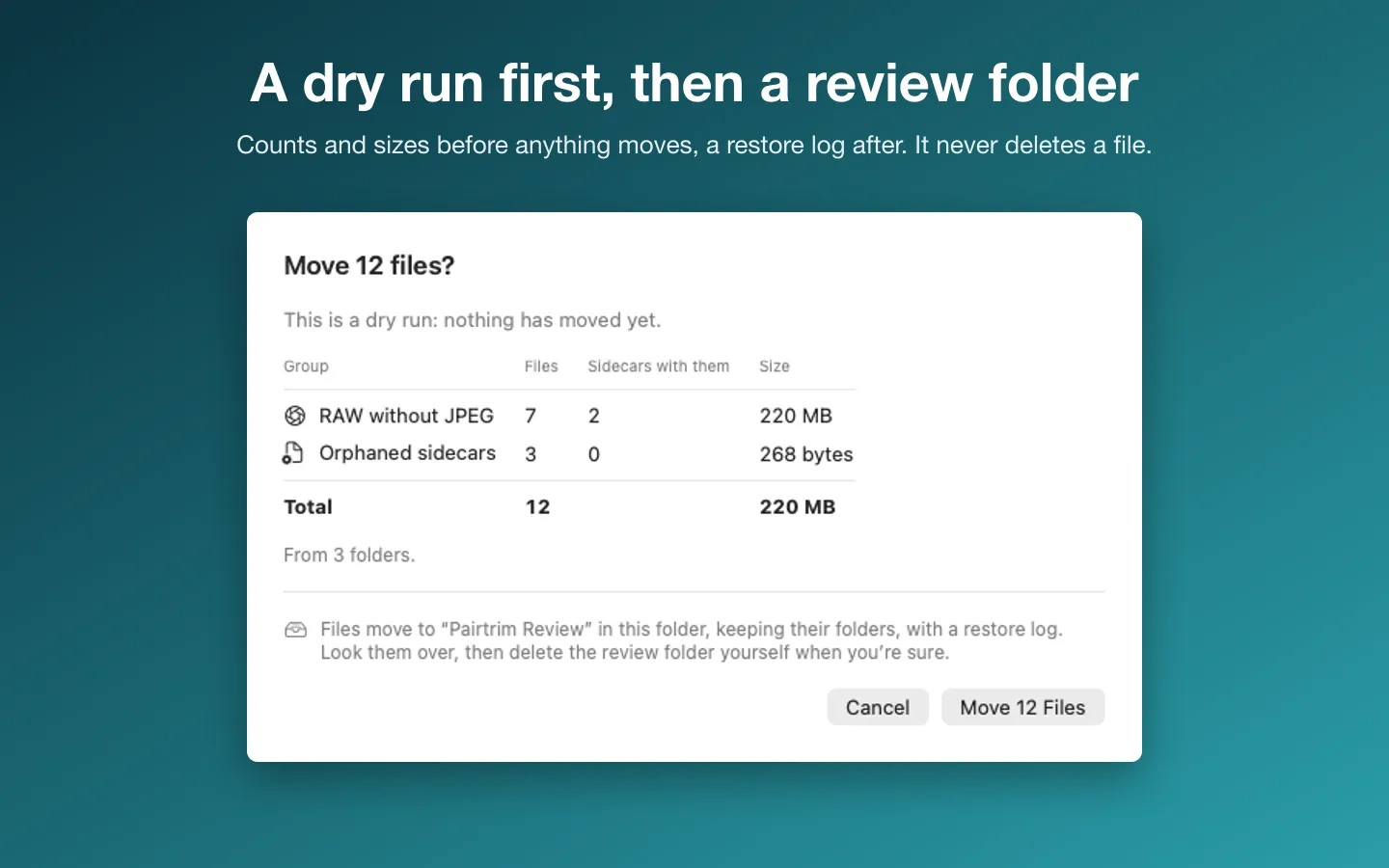 The dry run before a move: 12 files, their sidecars and sizes, moving to the Pairtrim Review folder