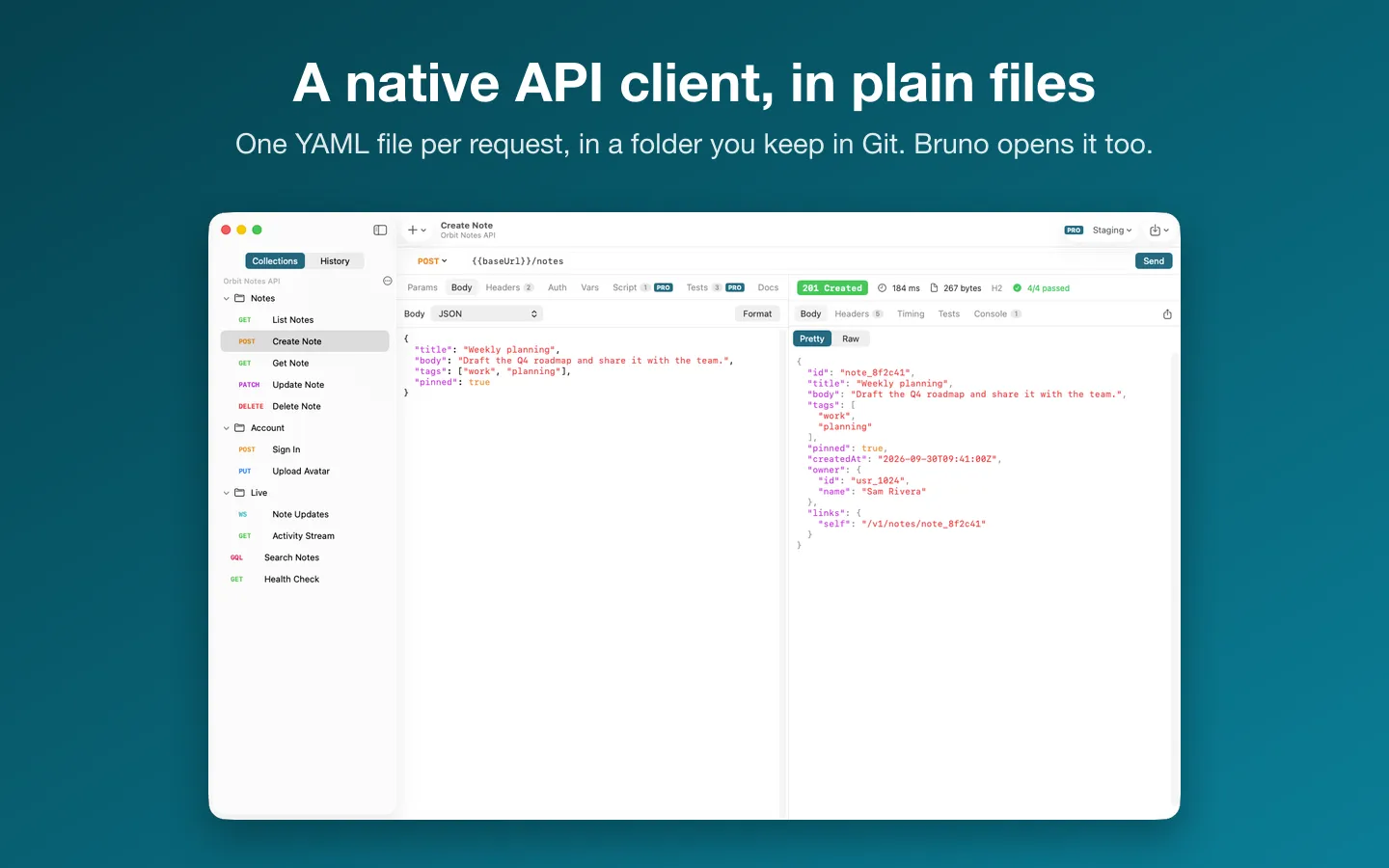A request and its JSON response, with the collection's plain files in the sidebar